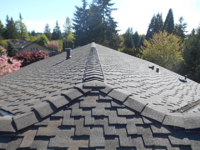 Gallery 505046 822424 650013 265575 2 1737582526 Jpg