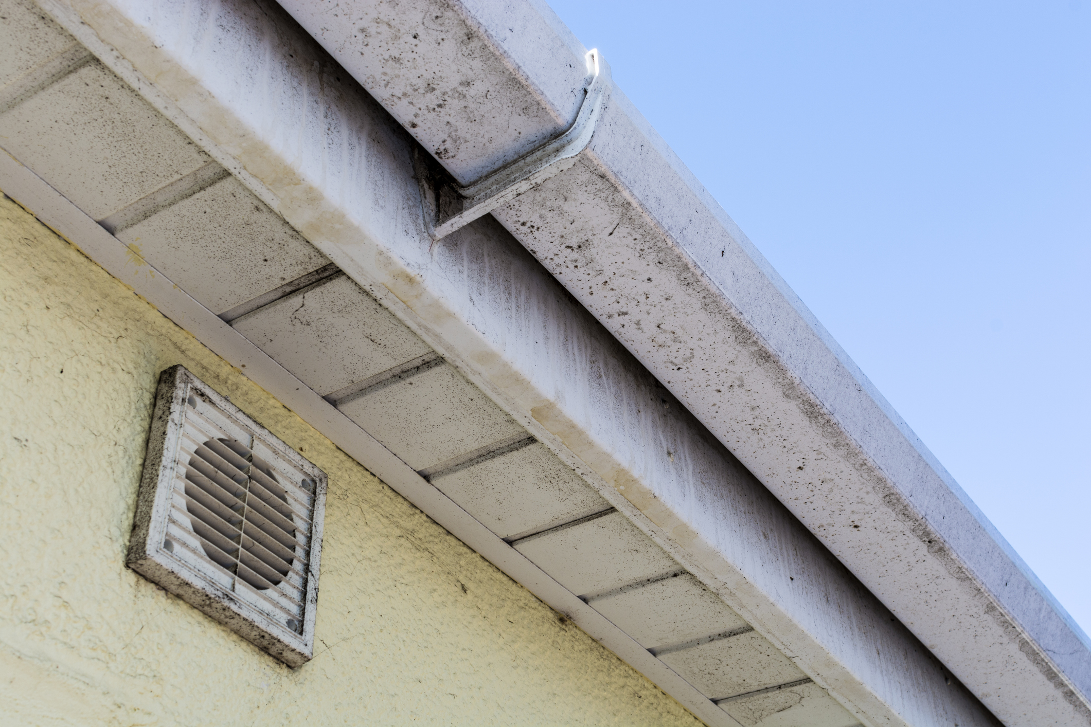 Gallery Mold 10 1750961409 Jpg