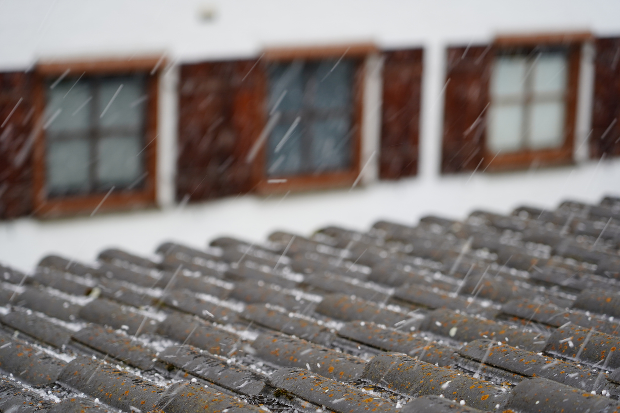 Gallery Istock 2205852021 1767014495 Jpg